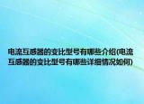 电流互感器的变比型号有哪些介绍(电流互感器的变比型号有哪些详细情况如何)