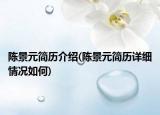 陈景元简历介绍(陈景元简历详细情况如何)