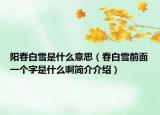 阳春白雪是什么意思（春白雪前面一个字是什么啊简介介绍）