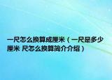 一尺怎么换算成厘米（一尺是多少厘米 尺怎么换算简介介绍）