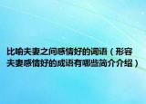 比喻夫妻之间感情好的词语（形容夫妻感情好的成语有哪些简介介绍）