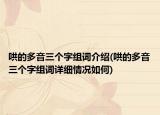 哄的多音三个字组词介绍(哄的多音三个字组词详细情况如何)
