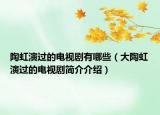 陶虹演过的电视剧有哪些（大陶虹演过的电视剧简介介绍）