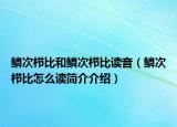 鳞次栉比和鳞次栉比读音（鳞次栉比怎么读简介介绍）