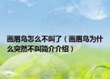 画眉鸟怎么不叫了（画眉鸟为什么突然不叫简介介绍）