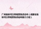 广州地铁可以带观赏鱼进去吗（成都坐地铁可以带观赏鱼进站吗简介介绍）