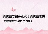 忘忧草又叫什么名（忘忧草实际上就是什么简介介绍）