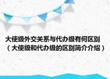 大使级外交关系与代办级有何区别（大使级和代办级的区别简介介绍）