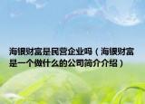 海银财富是民营企业吗（海银财富是一个做什么的公司简介介绍）