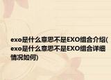exo是什么意思不是EXO组合介绍(exo是什么意思不是EXO组合详细情况如何)
