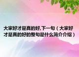 大家好才是真的好,下一句（大家好才是真的好的整句是什么简介介绍）