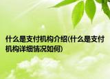 什么是支付机构介绍(什么是支付机构详细情况如何)