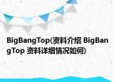 BigBangTop(资料介绍 BigBangTop 资料详细情况如何)