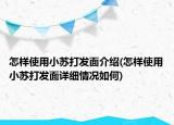 怎样使用小苏打发面介绍(怎样使用小苏打发面详细情况如何)