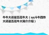 牛牛大还是五花牛大（qq斗牛四炸大还是五花牛大简介介绍）