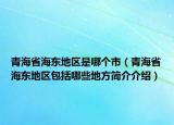 青海省海东地区是哪个市（青海省海东地区包括哪些地方简介介绍）