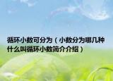 循环小数可分为（小数分为哪几种什么叫循环小数简介介绍）