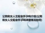 公狗和女人交配会怀孕吗介绍(公狗和女人交配会怀孕吗详细情况如何)