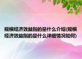 规模经济效益指的是什么介绍(规模经济效益指的是什么详细情况如何)