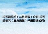 求天道惊鸿（三角函数）介绍(求天道惊鸿（三角函数）详细情况如何)