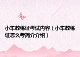 小车教练证考试内容（小车教练证怎么考简介介绍）