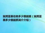 埃其亚基任务多少级能接（埃其亚基多少级能抓简介介绍）
