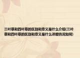 三叶草和四叶草的区别和意义是什么介绍(三叶草和四叶草的区别和意义是什么详细情况如何)