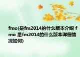 fmo(是fm2014的什么版本介绍 fmo 是fm2014的什么版本详细情况如何)