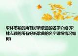 求林志颖的所有好听歌曲的名字介绍(求林志颖的所有好听歌曲的名字详细情况如何)