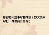 形容野火烧不尽的成语（野火烧不尽打一成语简介介绍）
