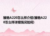 骓驰A220怎么样介绍(骓驰A220怎么样详细情况如何)