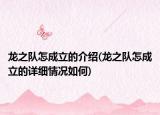 龙之队怎成立的介绍(龙之队怎成立的详细情况如何)