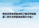 有关汉字来历的资料了解汉字的起源（关于汉字的来历简介介绍）