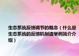 生态系统反馈调节的概念（什么是生态系统的反馈机制请举例简介介绍）