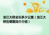 龙江大桥全长多少公里（龙江大桥在哪里简介介绍）