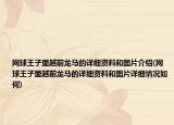 网球王子里越前龙马的详细资料和图片介绍(网球王子里越前龙马的详细资料和图片详细情况如何)