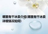 哪里有干冰卖介绍(哪里有干冰卖详细情况如何)