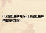 什么是低腰裤介绍(什么是低腰裤详细情况如何)