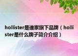 hollister是谁家旗下品牌（hollister是什么牌子简介介绍）