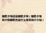 朝乾夕惕还是朝乾夕惕（朝乾夕惕和夕阳朝乾各是什么意思简介介绍）