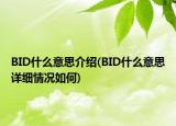 BID什么意思介绍(BID什么意思详细情况如何)