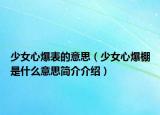 少女心爆表的意思（少女心爆棚是什么意思简介介绍）