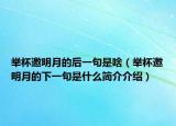 举杯邀明月的后一句是啥（举杯邀明月的下一句是什么简介介绍）