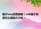 镜子vray材质参数（vr中镜子材质怎么调简介介绍）