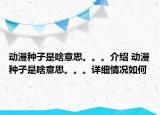 动漫种子是啥意思。。。介绍 动漫种子是啥意思。。。详细情况如何