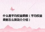 什么是平均权益乘数（平均权益乘数怎么算简介介绍）