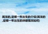 属龙的,是哪一年出生的介绍(属龙的,是哪一年出生的详细情况如何)