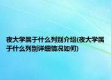 夜大学属于什么列别介绍(夜大学属于什么列别详细情况如何)