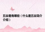 五谷是有哪些（什么是五谷简介介绍）