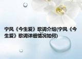 宁风《今生爱》歌词介绍(宁风《今生爱》歌词详细情况如何)